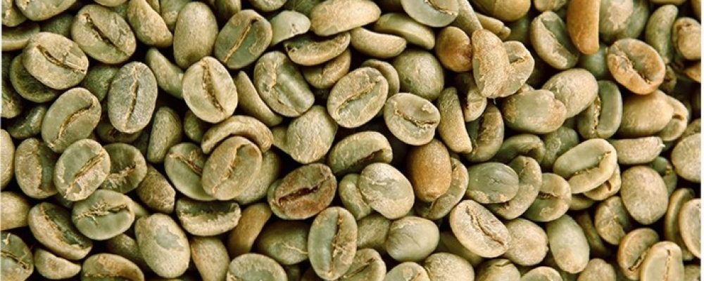 green coffee 01 green coffee 01
