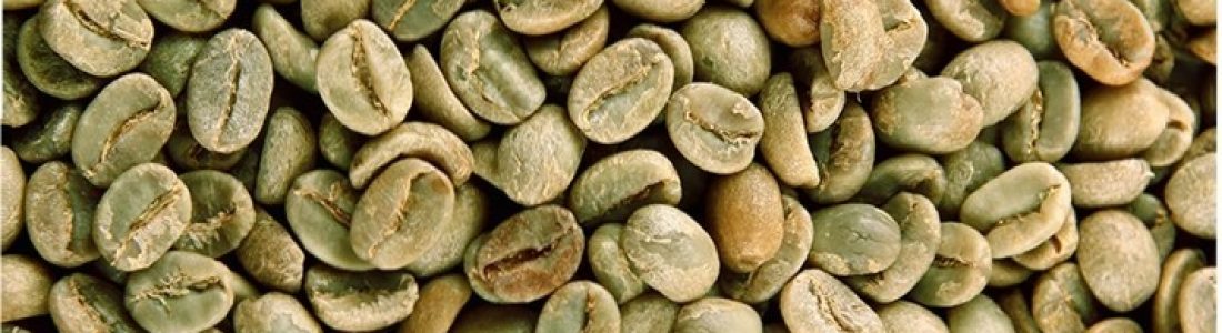 green coffee 01 green coffee 01